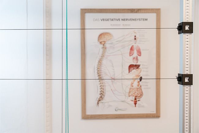 Chiropraktik Ulm Anschauungsbild zu das vegetative Nervensystem